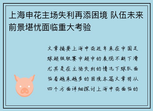 上海申花主场失利再添困境 队伍未来前景堪忧面临重大考验