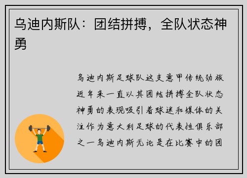 乌迪内斯队：团结拼搏，全队状态神勇