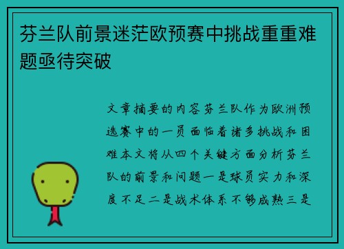 芬兰队前景迷茫欧预赛中挑战重重难题亟待突破