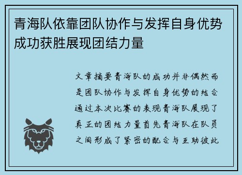 青海队依靠团队协作与发挥自身优势成功获胜展现团结力量